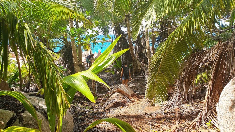 Auf dem Weg zur Anse Marron