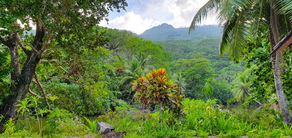 Hilton Seychelles Labriz